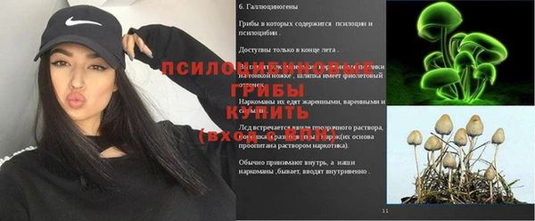 каннабис Дмитриев