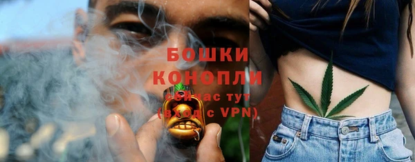 гидра Дмитров