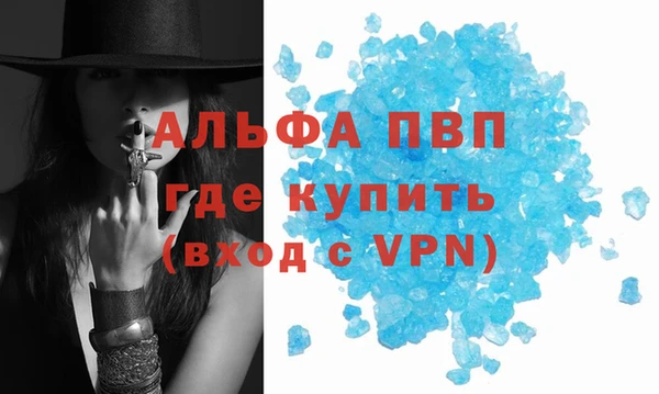 гидра Дмитров